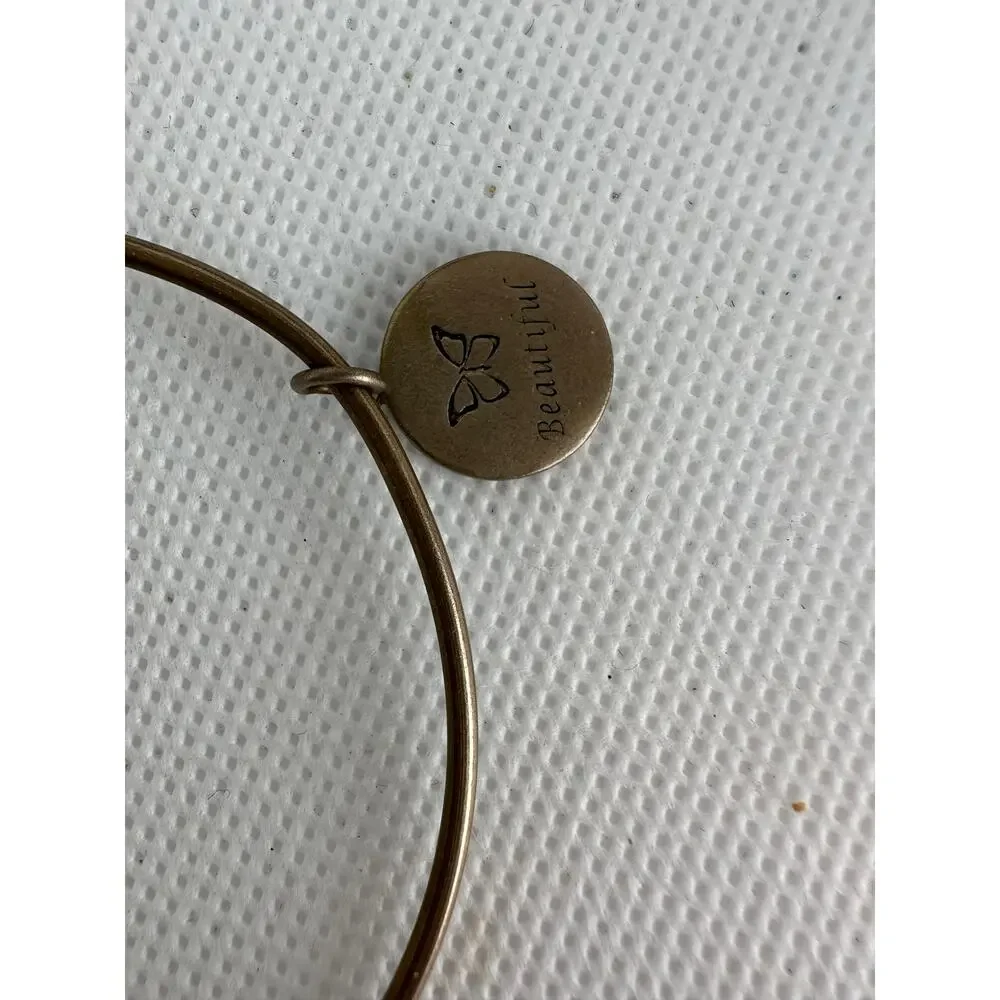 Alex and Ani Bracelet Path of Life